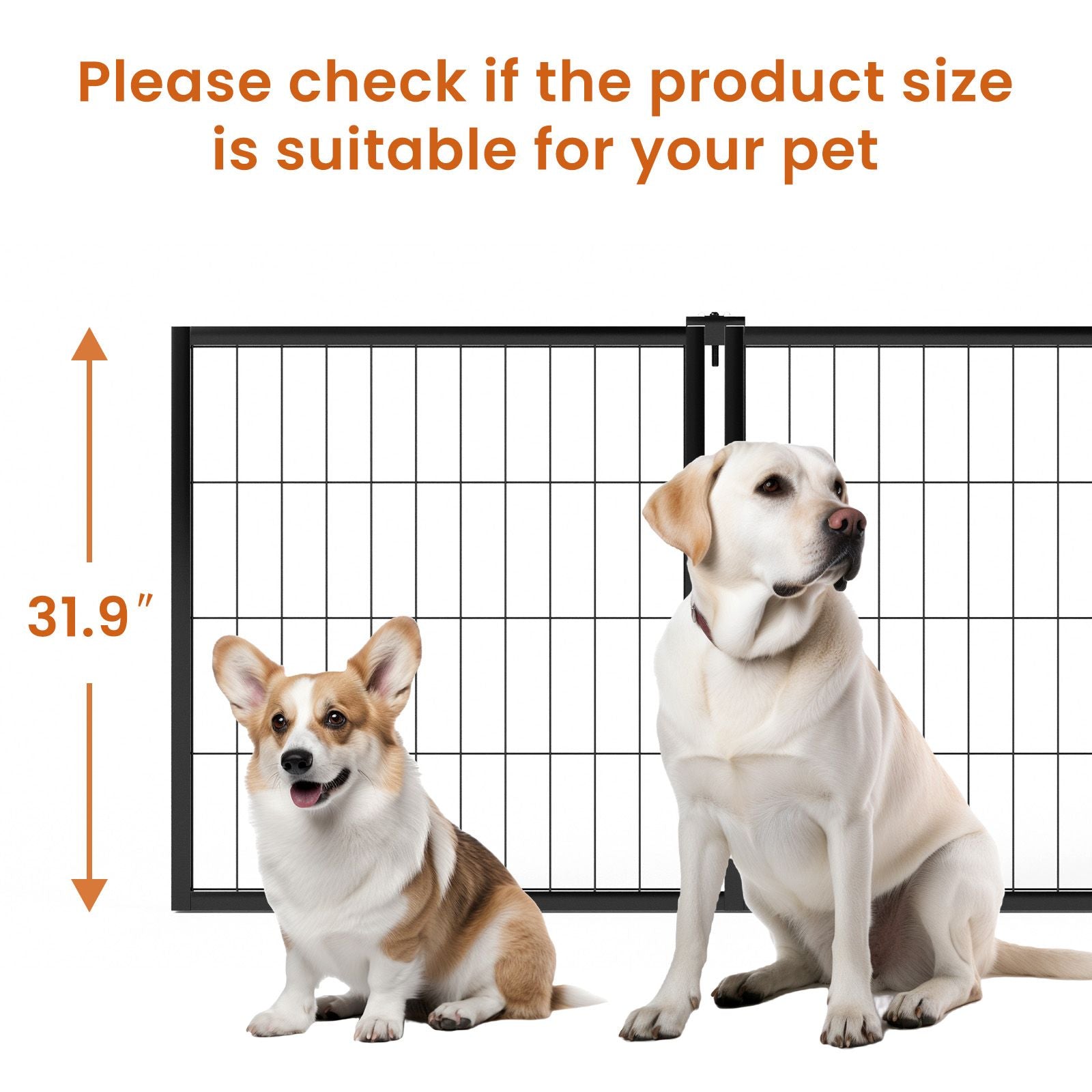 Dog cage for small and medium dogs