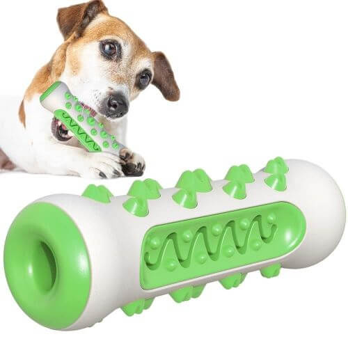 That Dog Store Gift Card